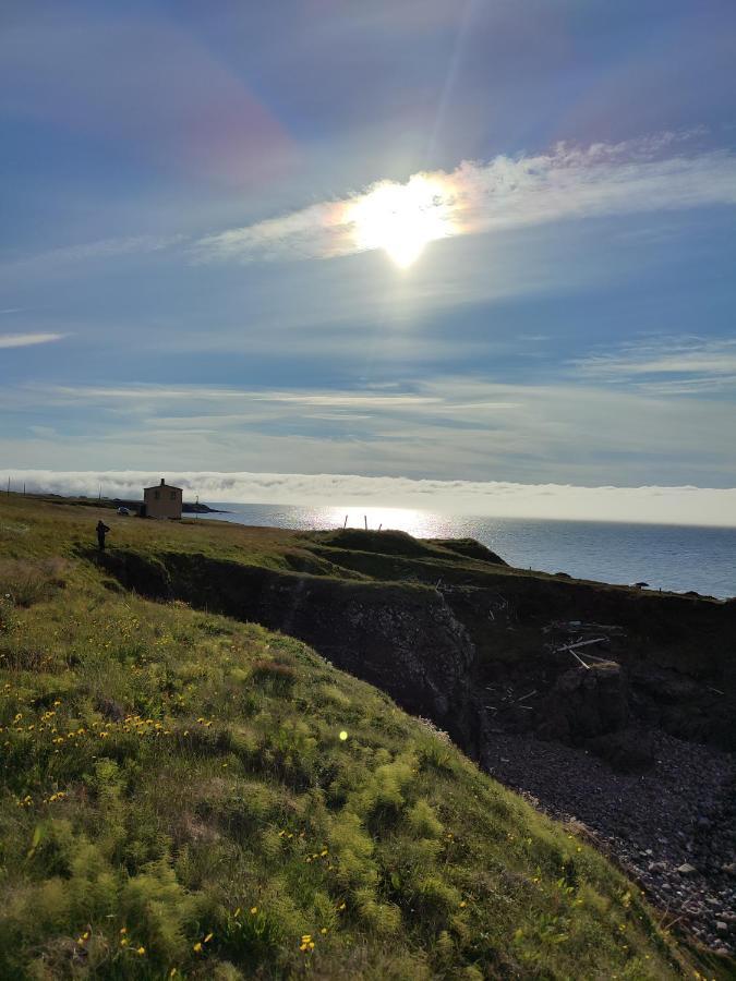 Happy-Cove Guesthouse - By The Sea Bakkafjorthur Exterior photo